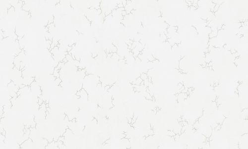 PP72111-11