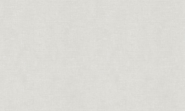 Prestige Color Exclusive Quality / Эксклюзивное Качество фон /PC72114-21/6/10,05*1,06/Винил на Флизе
